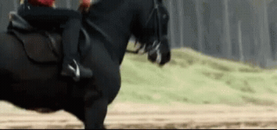 A Person Is Riding A Black Horse In A Field . GIF