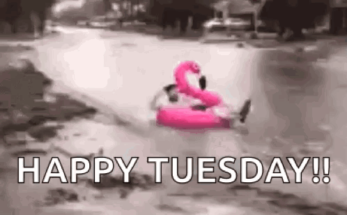 A Person Is Riding A Pink Flamingo Float In A River . GIF