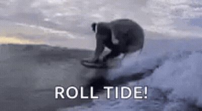 A Person Is Riding A Wave On A Surfboard In The Ocean With The Words `` Roll Tide '' . GIF