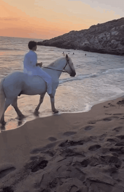 A Person Is Riding A White Horse On A Beach GIF