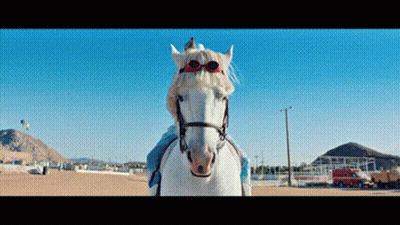 A Person Is Riding A White Horse With Sunglasses On Its Head GIF