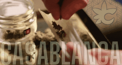 A Person Is Rolling A Cigarette With The Word Casablanca In The Corner GIF