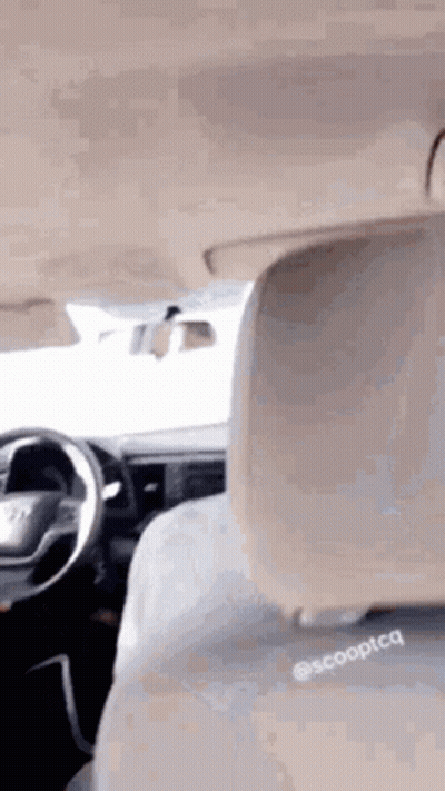 A Person Is Sitting In The Back Seat Of A Car With A Steering Wheel . GIF
