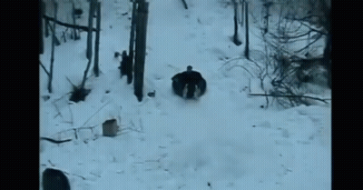 A Person Is Sliding Down A Snow Covered Hill On A Sled . GIF