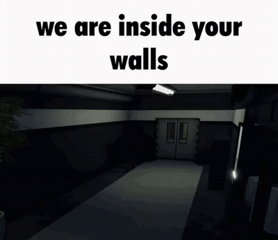 A Person Is Standing In A Dark Hallway In A Video Game And They Are Inside Your Walls . GIF