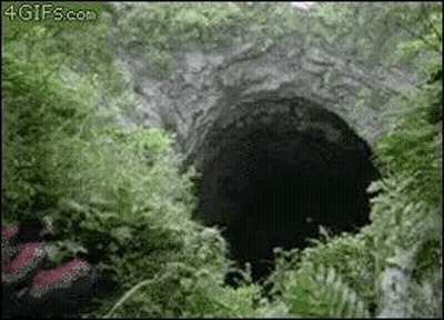 A Person Is Standing In A Hole In The Woods . GIF