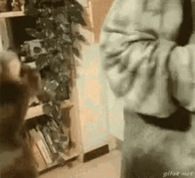 A Person Is Standing In Front Of A Bookshelf With A Plant . GIF