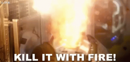A Person Is Standing In Front Of A Fire With The Words Kill It With Fire . GIF