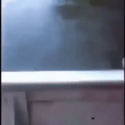 A Person Is Standing In Front Of A Window And Looking Out . GIF