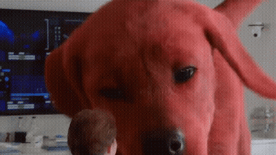 A Person Is Standing Next To A Giant Red Dog . GIF