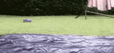 A Person Is Standing On A Blanket In A Grassy Yard . GIF