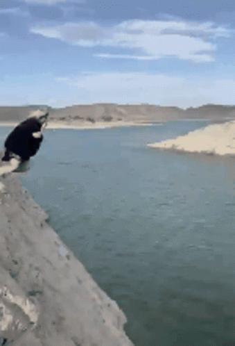 A Person Is Standing On A Ledge Overlooking A Body Of Water . GIF