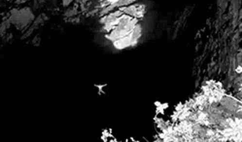 A Person Is Standing On A Tree Branch In The Dark . GIF