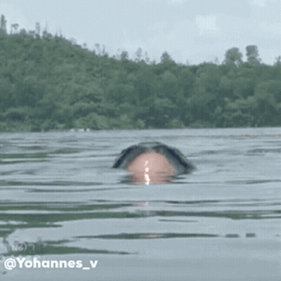 A Person Is Swimming In A Lake With The Name Yohannes_v Written On The Bottom GIF