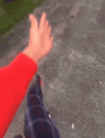 A Person Is Swimming In A Pool With A Red Glove On Their Hand . GIF
