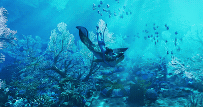 A Person Is Swimming In The Ocean Surrounded By Corals GIF