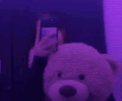 A Person Is Taking A Picture Of Themselves With A Teddy Bear In Front Of A Mirror . GIF