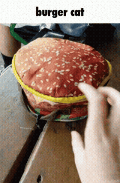 A Person Is Touching A Purse That Looks Like A Burger GIF