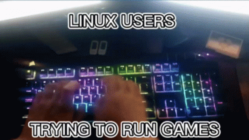 A Person Is Typing On A Keyboard With The Words Linux Users Trying To Run Games Below Them GIF