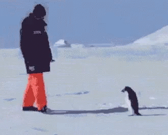 A Person Is Walking In The Snow With A Penguin Behind Them . GIF