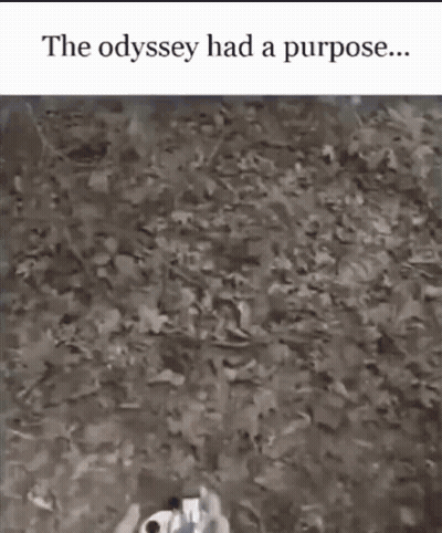 A Person Is Walking On A Dirt Road With A Purpose . GIF