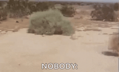 A Person Is Walking Through A Desert With The Words Nobody Behind Them GIF