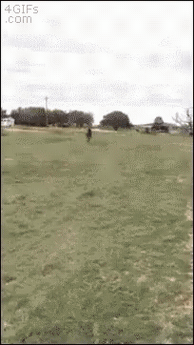 A Person Is Walking Through A Grassy Field With The Website 4Gifs.com Visible In The Corner GIF