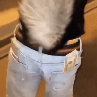 A Person Is Wearing A Pair Of White Jeans With A Black Belt And A Cell Phone In Their Pocket . GIF