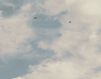 A Person Jumping In Front Of A House With A Porch GIF