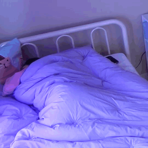 A Person Laying In Bed With A Purple Comforter GIF