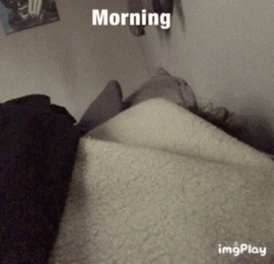 A Person Laying On A Bed With A Blanket And The Words Morning On The Top GIF