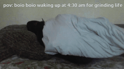 A Person Laying On A Bed With A Caption That Says " Boio Boio Waking Up At 4:30 Am For Grinding Life GIF