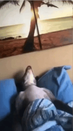 A Person Laying On A Bed With A Painting Of A Beach In The Background GIF