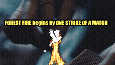 A Person Lighting A Match With The Words Forest Fire Begins By The Strike Of A Match GIF