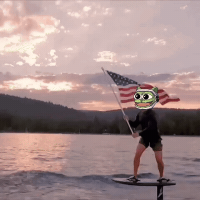 A Person On A Surfboard Holding An American Flag With A Frog On Their Head GIF