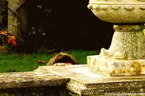 A Person Peeking Out From Behind A Stone Statue With The Word Dunden On The Bottom Right GIF