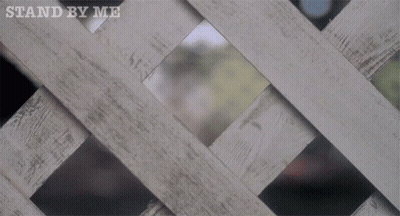 A Person Peeking Through A Wooden Fence With The Words Stand By Me Above GIF