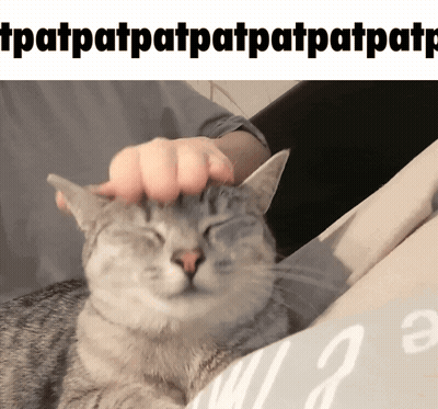 a person petting a cat 's head with the words tpatpatpatpatpatpatpatpatp