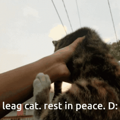A Person Petting A Cat With The Caption Leag Cat Rest In Peace D GIF