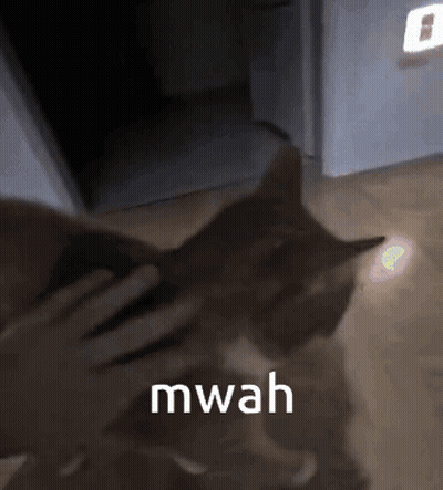 A Person Petting A Cat With The Word Mwah Written On The Bottom GIF