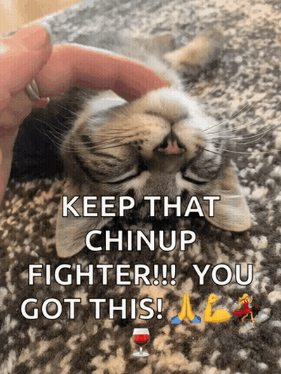 A Person Petting A Cat With The Words Keep That Chinup Fighter !!! You Got This GIF