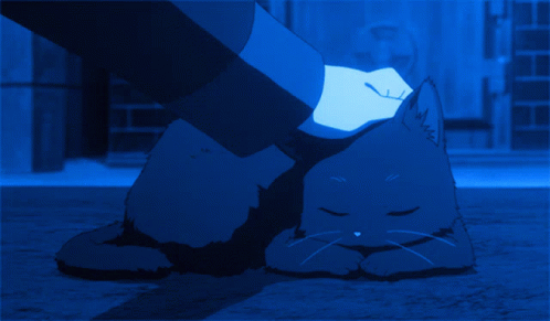 A Person Petting A Cat With Their Foot GIF