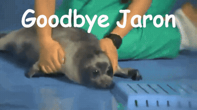 A Person Petting A Seal With The Words Goodbye Jaron Written Above It GIF