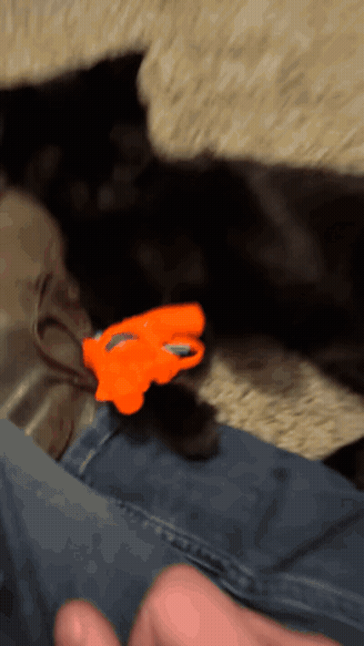 A Person Playing With A Toy Gun On A Cat 'S Lap GIF