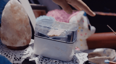 A Person Reaches For A Container Of Matches On A Table With A Stuffed Animal In The Background GIF