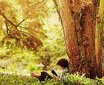 A Person Reading A Book Under A Tree In A Park GIF