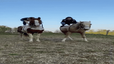 A Person Riding A Brown And White Horse In A Dirt Field GIF