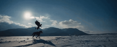 A Person Riding A Horse In A Snowy Field With Birds Flying Overhead GIF