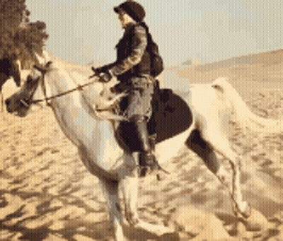 A Person Riding A White Horse In The Desert GIF
