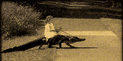 A Person Riding On The Back Of A Large Alligator GIF